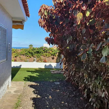 Cozy And Intimate In * Puerto de la Cruz (Tenerife)